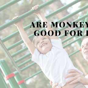 Are Monkey Bars Good for Kids Blog Post