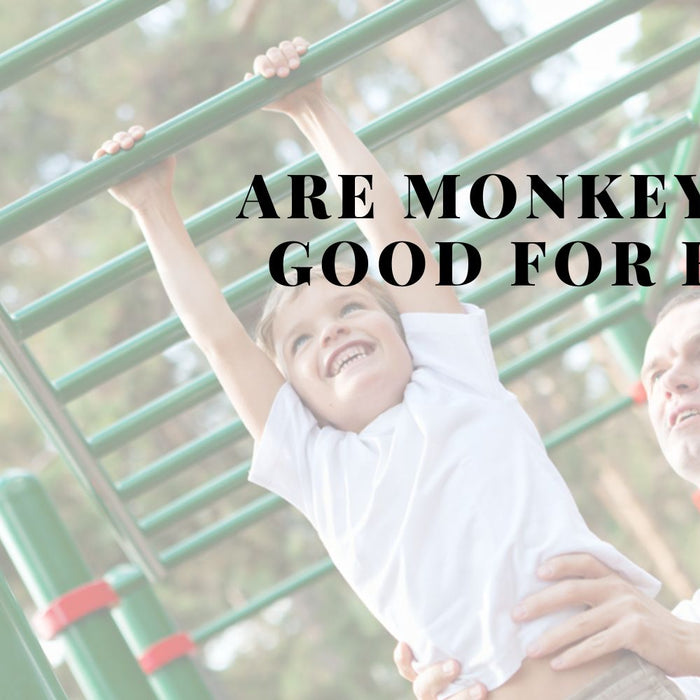 Are Monkey Bars Good for Kids Blog Post