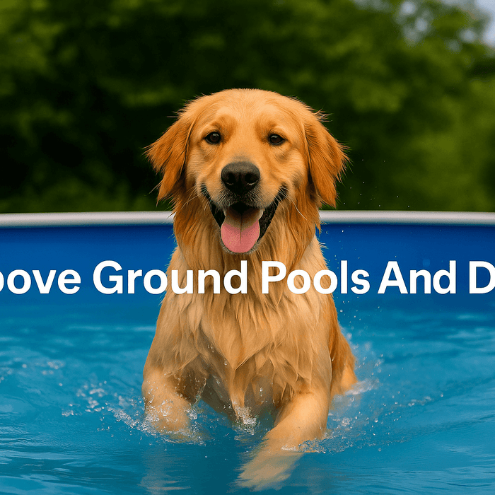 golden-retriever-in-pools-uk-above-ground-pool-splashing-water-on-sunny-day-with-title-text-above-ground-pools-and-dogs-centered