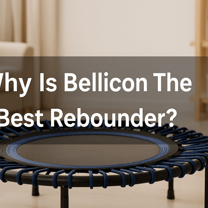 why-is-bellicon-the-best-rebounder-banner-image-featuring-black-rebounder-with-blue-bungee-cords-in-modern-living-room-with-sofa-shelves-and-plant
