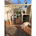 children-on-wooden-climbing-cube-with-rope-net-platform-and-hideout-space