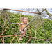 lifestyle-shot-exit-10ft-climbing-dome-toddler-playing-inside