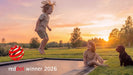 north-14ft-round-in-ground-trampoline-red-dot-winner-2026-with-children-and-dog