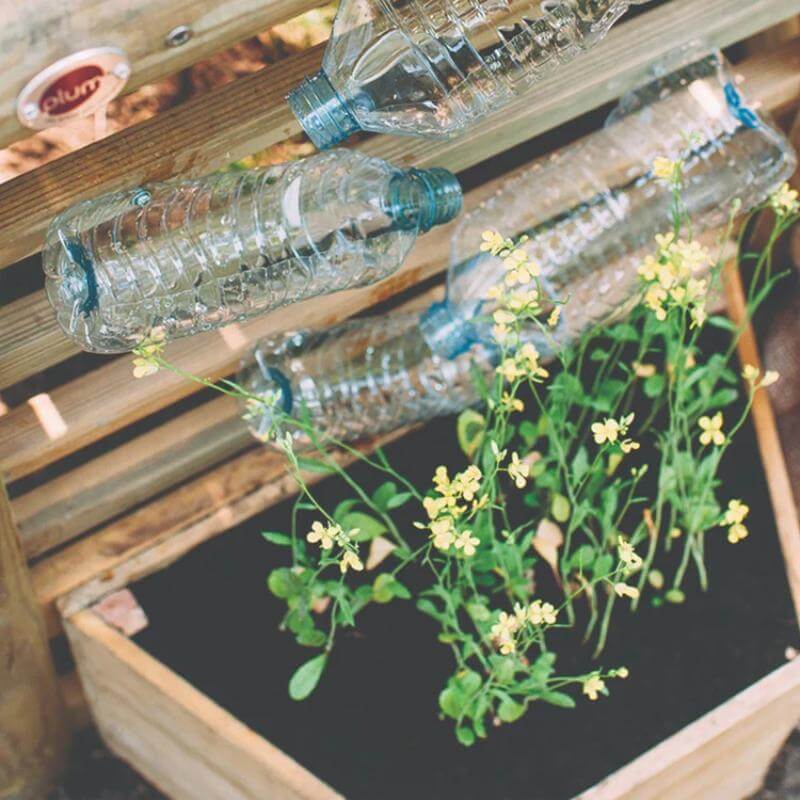 plastic-bottle-screen-above-wooden-planter-with-yellow-flowers