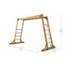 plum-wooden-monkey-bars-footprint-and-dimensions-310x160x198cm