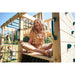 wooden-climbing-cube-with-swing-xl-girl-sitting-on-platform-lifestyle